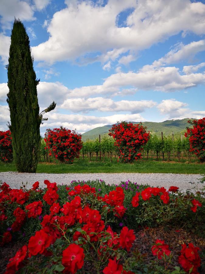 Pizzulin - Wine & Living Villa Prepotto  Bagian luar foto