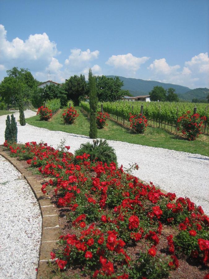 Pizzulin - Wine & Living Villa Prepotto  Bagian luar foto
