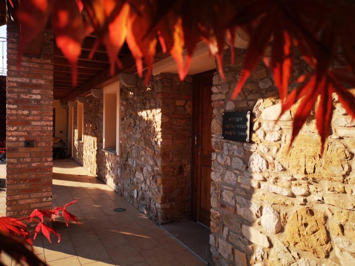 Pizzulin - Wine & Living Villa Prepotto  Bagian luar foto