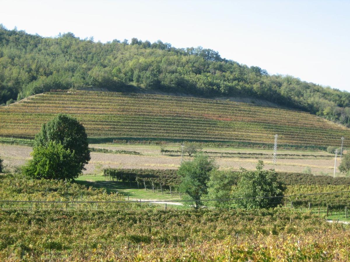 Pizzulin - Wine & Living Villa Prepotto  Bagian luar foto